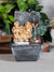 Water Fountain with LED Lights Lakshmi-Ganesha Ji